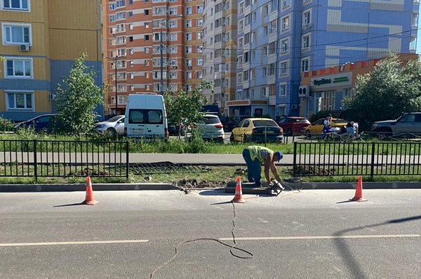 На улице Александры Монаховой обустроят пешеходный переход